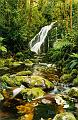 dusky_track_045a