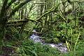 keppler_track_02