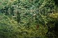 loch_maree_02