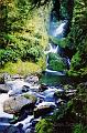milford_28