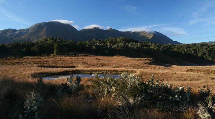 IMG_4541.JPG - Mt Arthur and the Tablelands