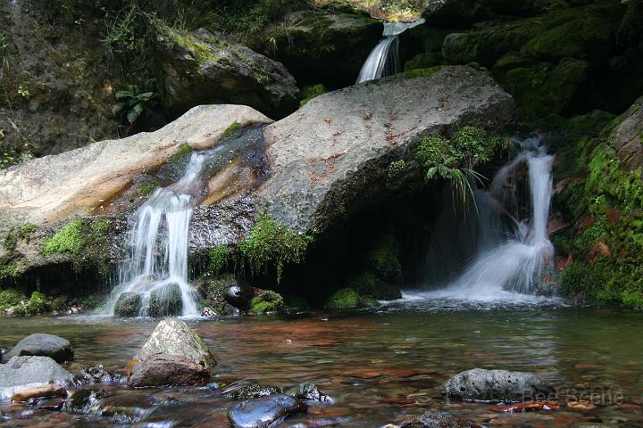 IMG_4596.JPG - Flora valley