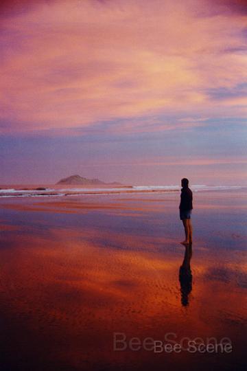 waimarama_01.jpg - Waimarama Beach - Hawkes Bay