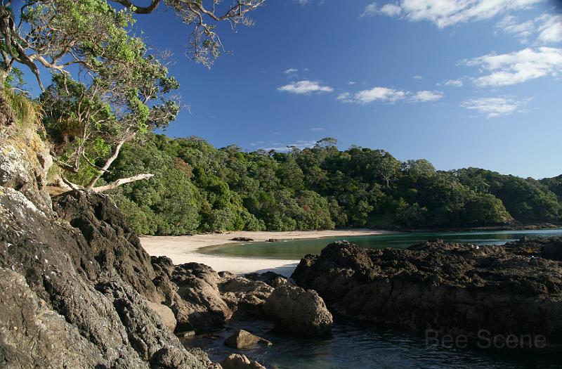 IMG_8182.JPG - Whale Bay - Iconic Northland