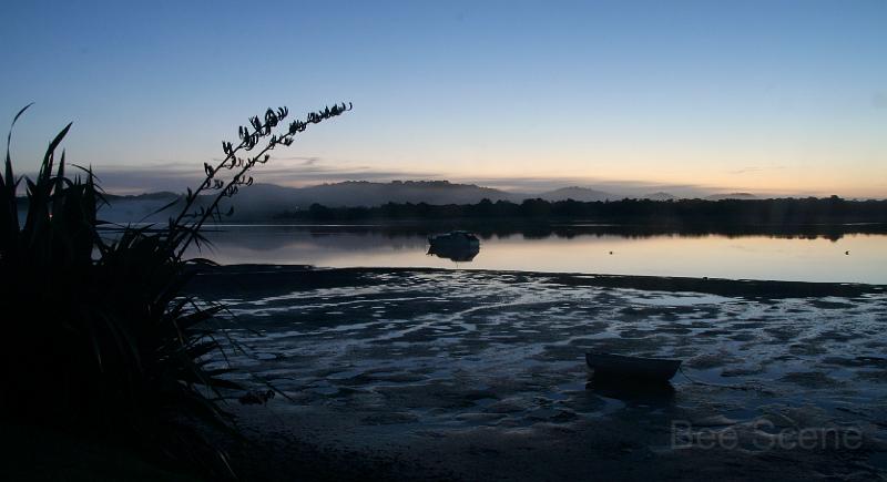 IMG_8781.JPG - Ngunguru estury
