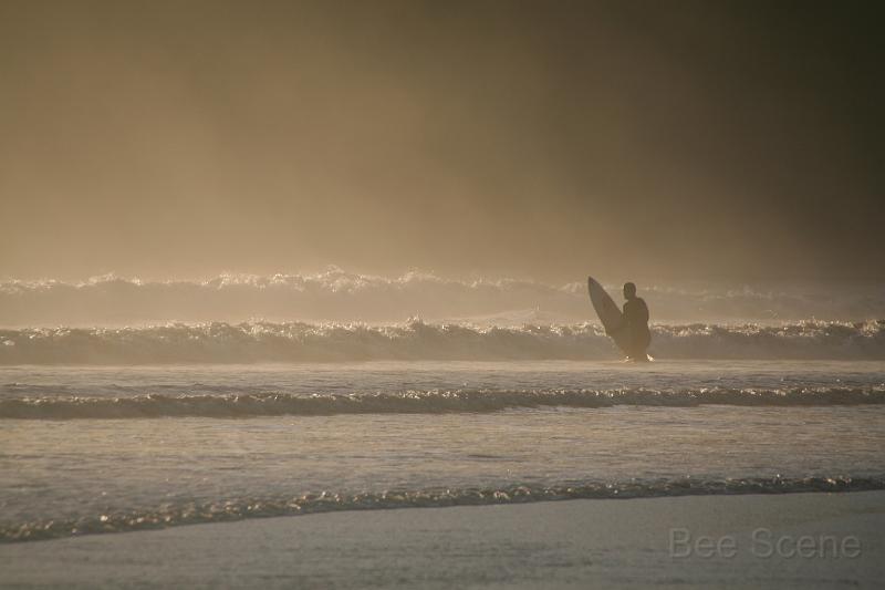 IMG_8793.JPG - Taking to the surf - Sandy Bay