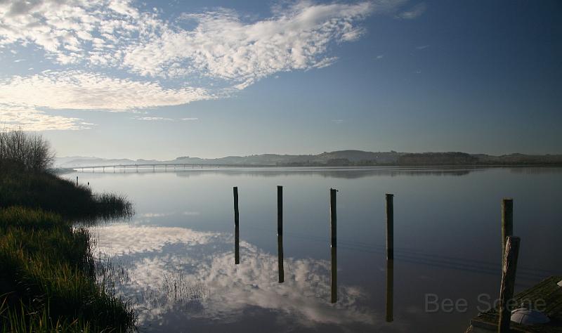 IMG_9362.JPG - Northern Wairoa - Dargaville