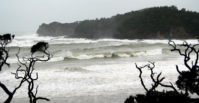 IMG_9701.JPG - Rolling surf - Matapouri Bay