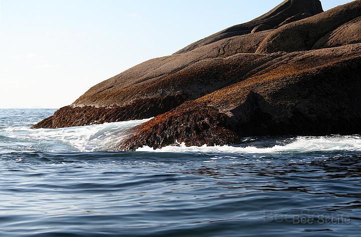 IMG_1335.JPG - Guano Island - Bream Islands