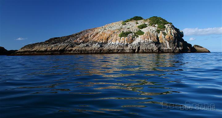 IMG_1354.JPG - Bream Islands