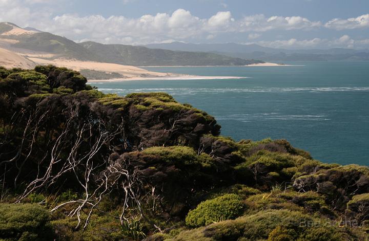 hokianga_01.jpg