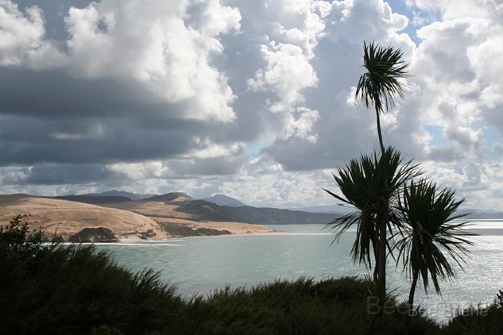 hokianga_02.jpg