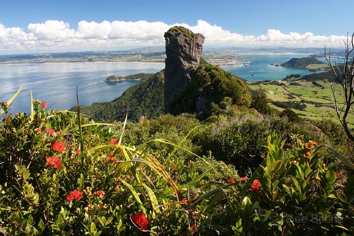 whangarei_heads_01.jpg