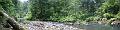 2006_waipoua_forest2