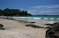 bream_bay_01