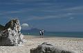 bream_bay_02