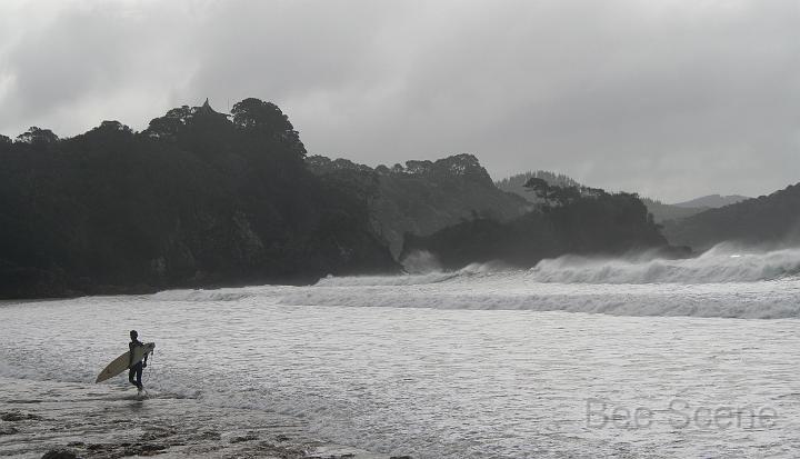 IMG_5935.JPG