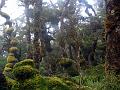 ruahine_ranges_01
