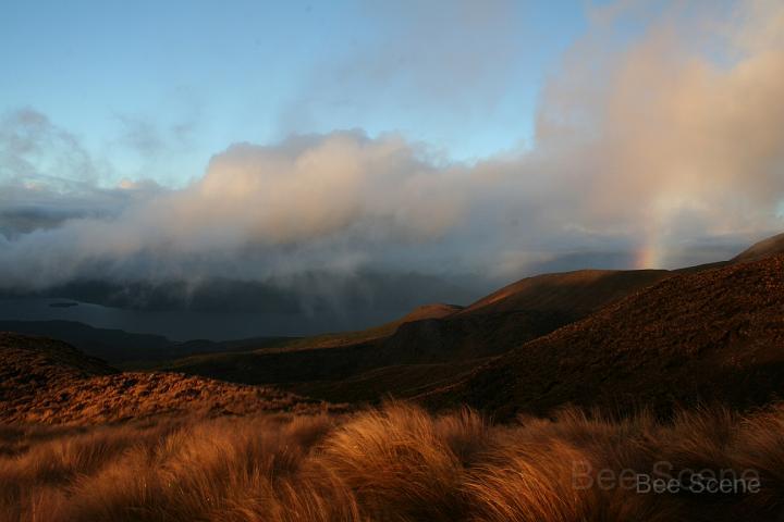 IMG_1496.JPG - From Ketetahi Hut - Tongariro Alpine Crossing