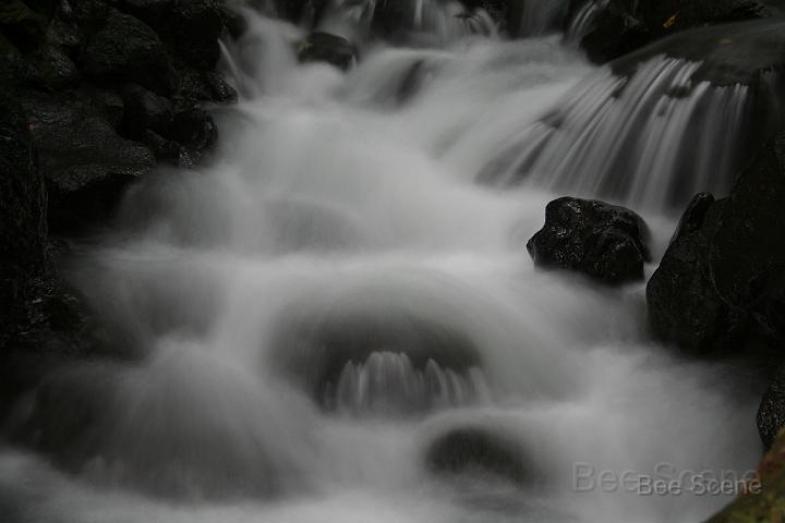 IMG_1793.JPG - Tongariro stream