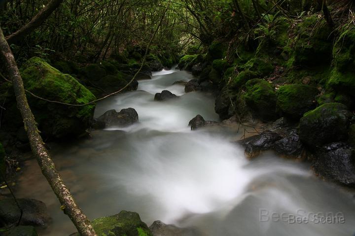 IMG_2339.JPG - Dark stream - Tongariro