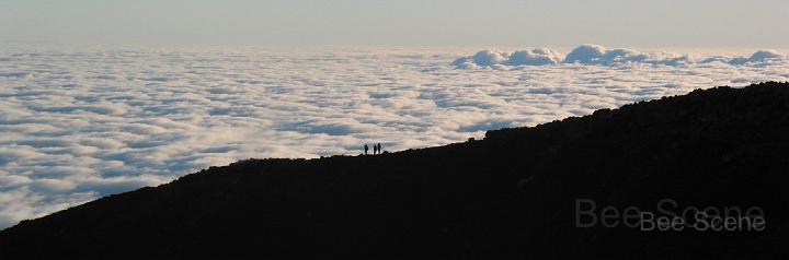 mt_ngauruhoe_01.jpg - Trampers on Mt Ngauruhoe ridgeline