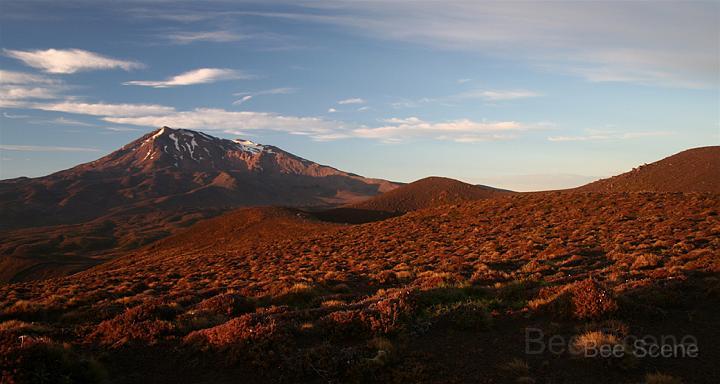 tama_03.jpg - Tama ridge and Mt Ruapehu
