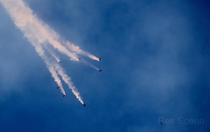 IMG_2992.jpg