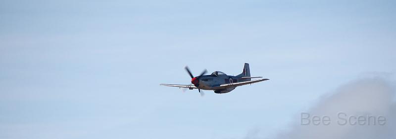 IMG_3040.jpg