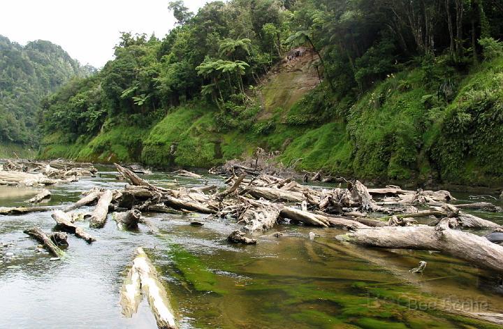 115-1526_IMG.JPG - Whanganui River below the Whangamomena River confluence