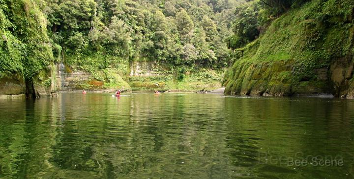 whanganui_01.jpg