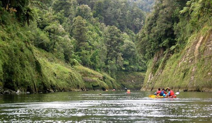 whanganui_02.jpg