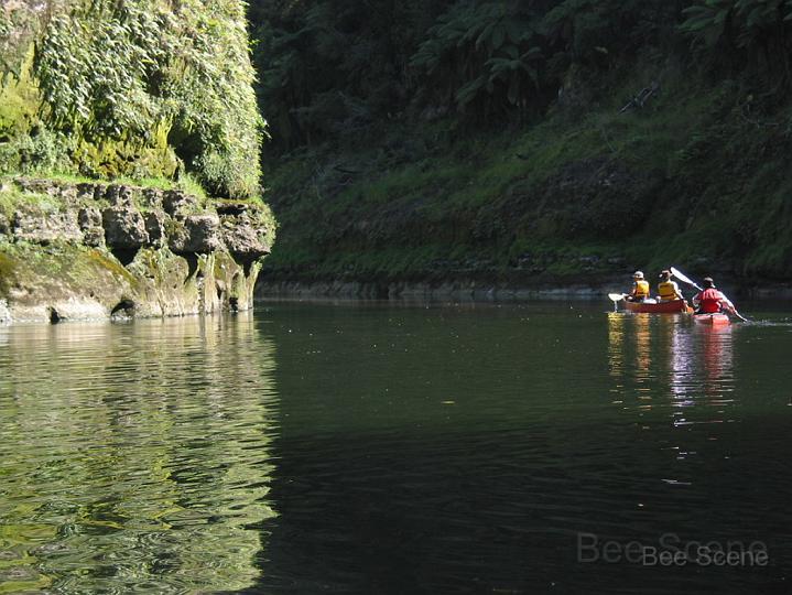 whanganui_04.jpg